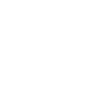 AYPN partners with local, national, and international organizations working towards peace and development. By building networks, we amplify our impact and reach, ensuring that our message and efforts resonate on a larger scale.