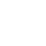 AYPN is committed to the long-term sustainability of peace in Arakan. We work to build resilience within communities, promote economic opportunities, and address the underlying grievances that can lead to conflict. Our holistic approach aims to create lasting peace and stability.